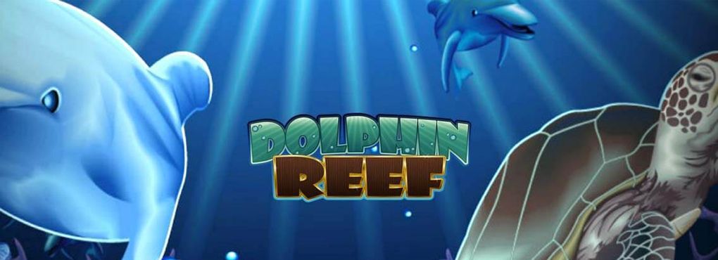 Dolphin Reef Slots